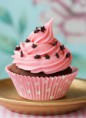 /album/cupcakes/cupcakes-chocolate-jpg/