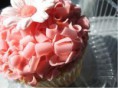 /album/cupcakes/imagesca6j87qd-jpg/