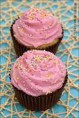 Cupcakes (12 unidades)
